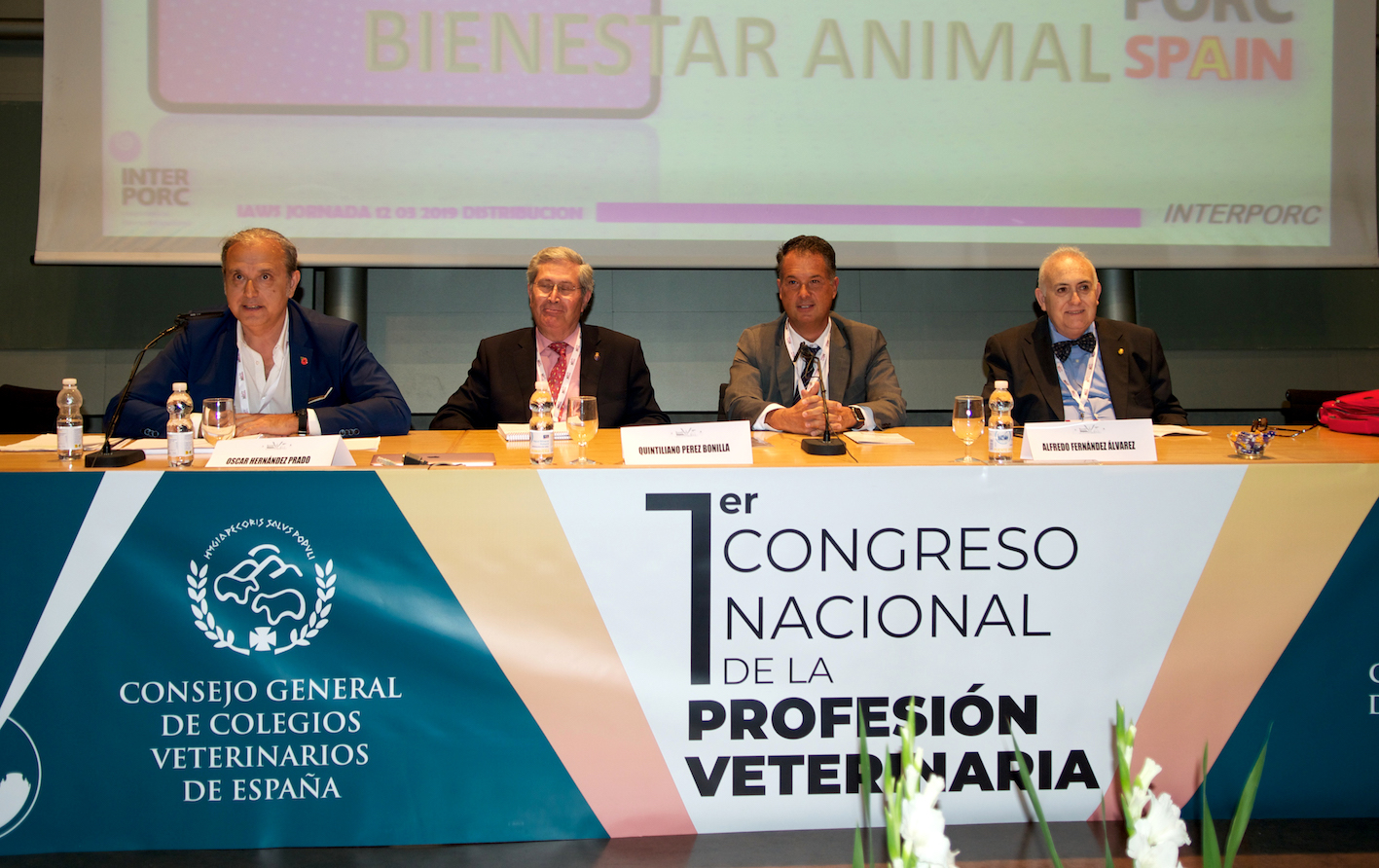 Mesa redonda sobre bienestar y maltrato animal