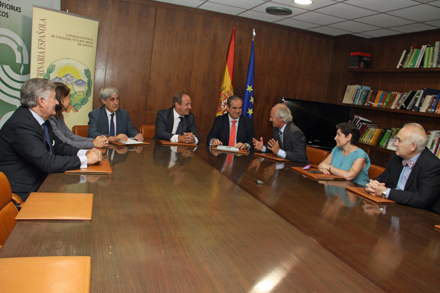 García Alía, Crespo, Badiola, Castrodeza, Aguilar, Rivero, Rosa López y Fulgencio Fernández.