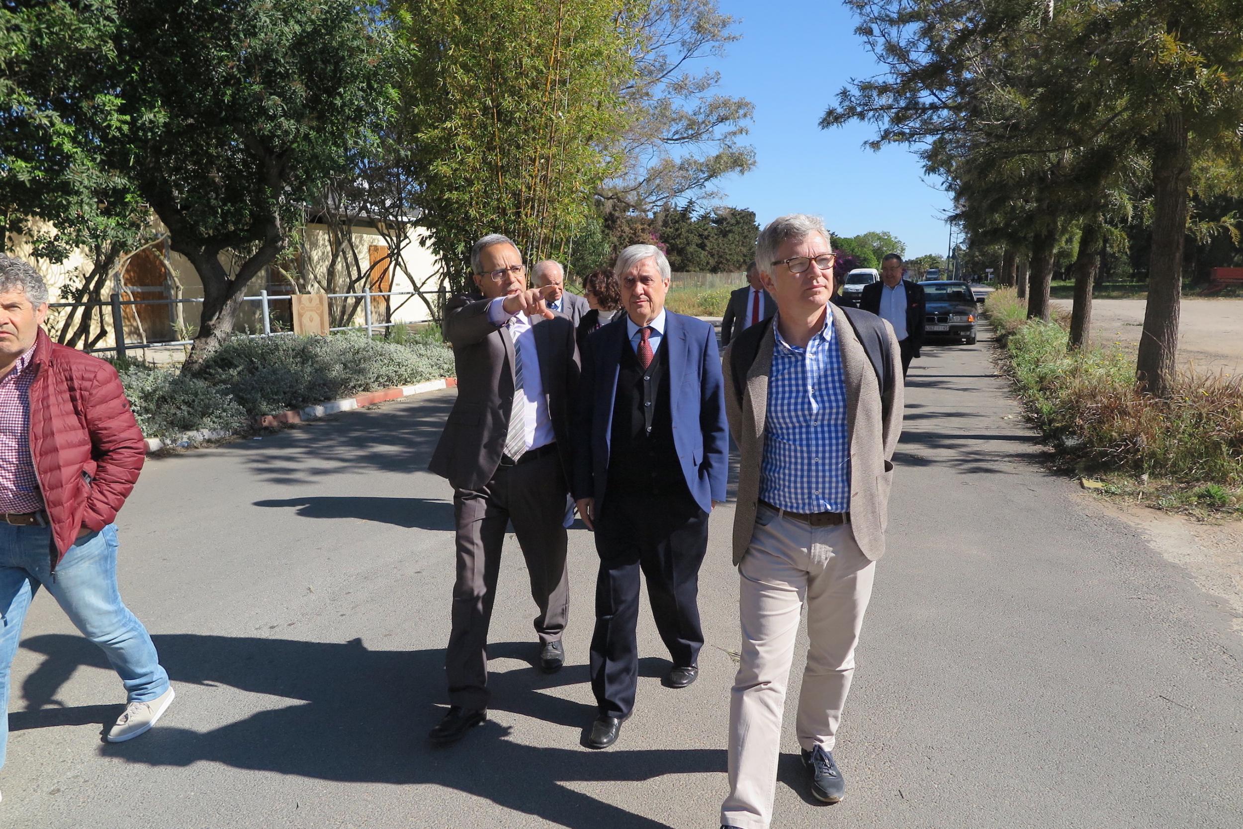 VISITA AL INSTITUTO AGRONÓMICO Y VETERINARIO HASSAN II EN RABAT