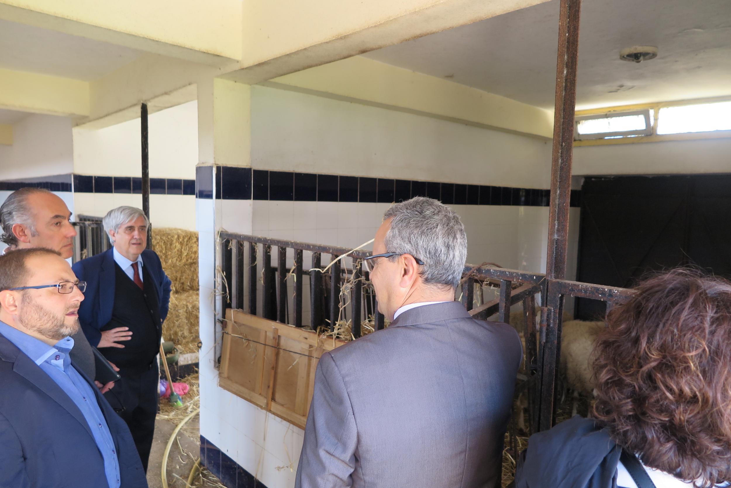 VISITA AL INSTITUTO AGRONÓMICO Y VETERINARIO HASSAN II EN RABAT