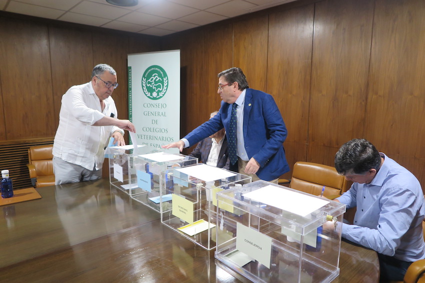 El presidente del Colegio de Córdoba emite su voto.