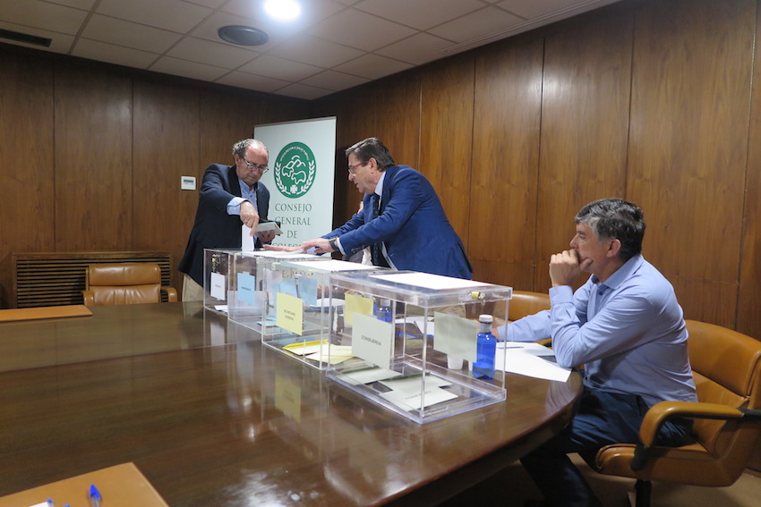 El presidente del Colegio de Málaga emite su voto.