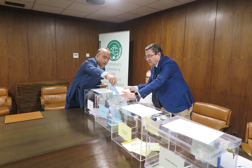 El presidente del Colegio de Soria y candidato a la presidencia emite su voto.