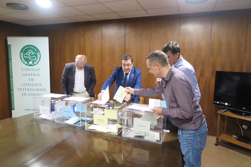 El presidente del Colegio de A Coruña emite su voto.