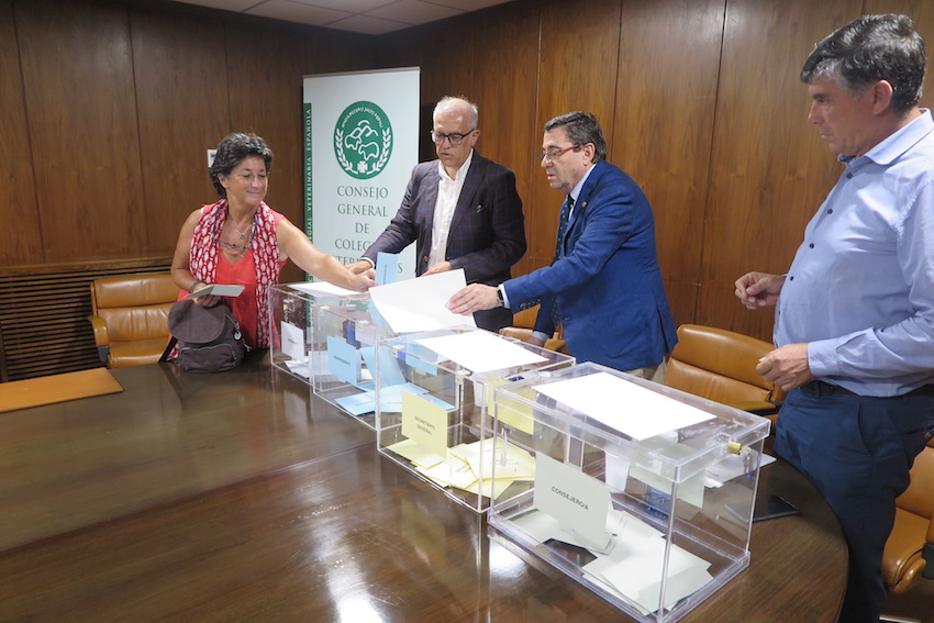 La presidenta del Colegio de Cádiz emite su voto.