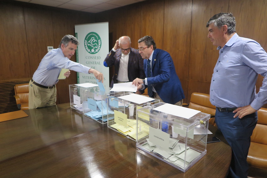 El presidente del Colegio de Ciudad Real emite su voto.