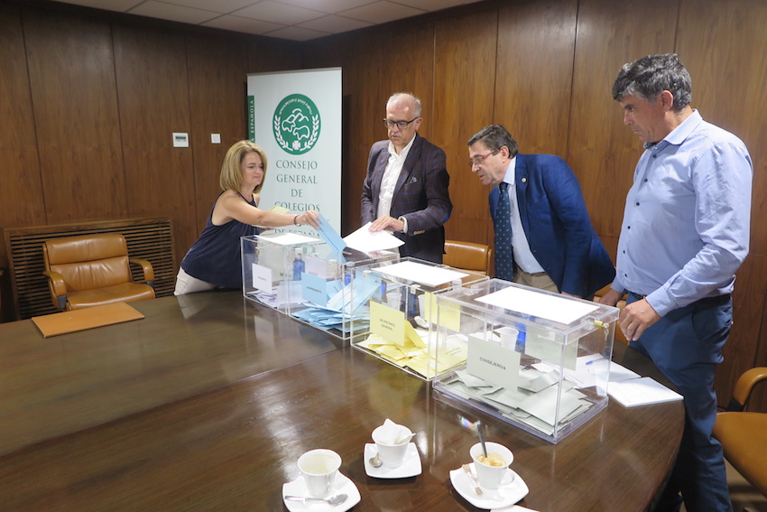 La presidenta del Colegio de Valencia emite su voto.