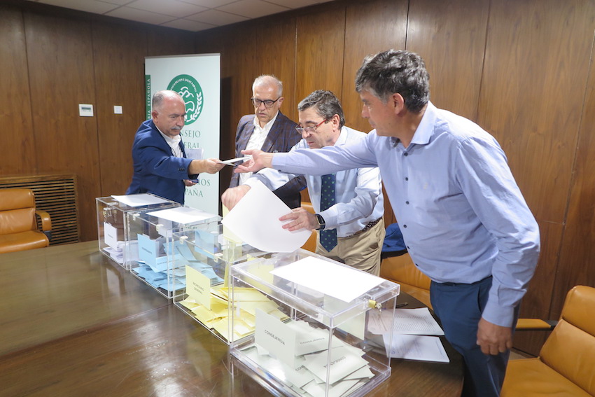 El tesorero del Colegio de Melilla emite su voto.