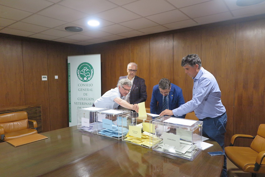 El presidente del Colegio de Baleares emite su voto.