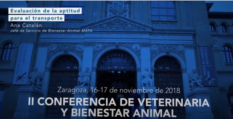 Evaluación de la aptitud para el transporte de animales. ANA CATALÁN