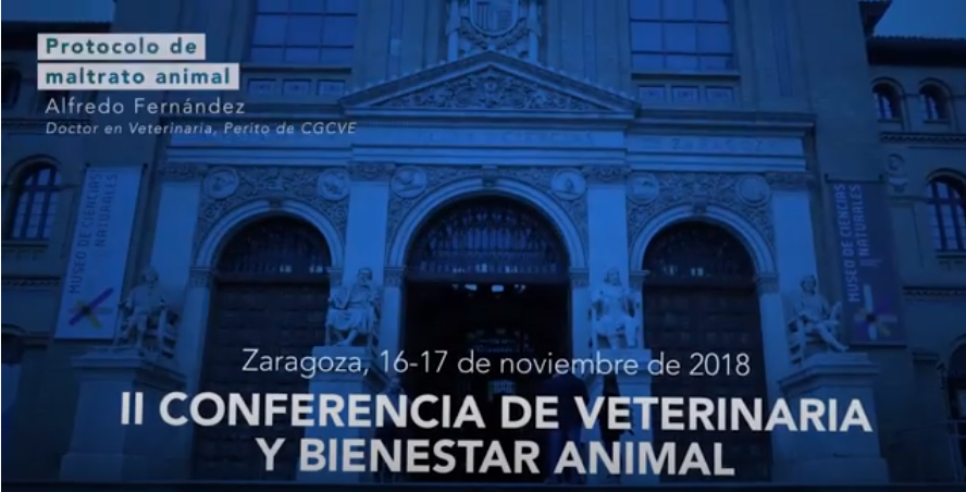 ALFREDO FERNÁNDEZ. Protocolo para evaluar el maltrato en animales de compañía.