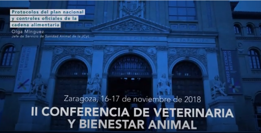 OLGA MÍNGUEZ. Los protocolos de bienestar animal en el PNCOCA, elaboración y aplicación