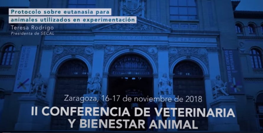 TERESA RODRIGO CALDUCH. Protocolo sobre eutanasia para animales utilizados en experimentación y otros fines científicos.