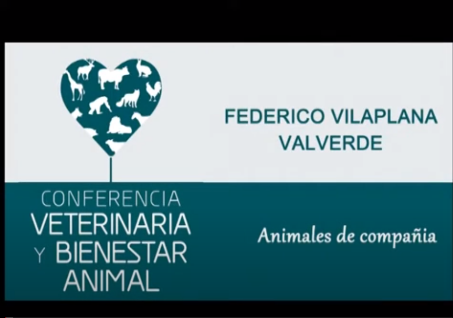 Profesión veterinaria y bienestar de los animales de compañía - Federico Vilaplana