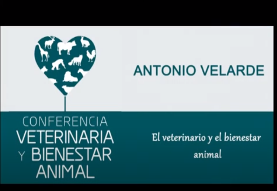 El veterinario y el bienestar animal - Antonio Velarde Calvo
