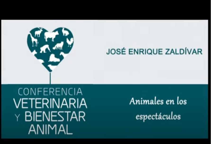 Profesión veterinaria y bienestar de los animales en espectáculos - José Enrique Zaldívar
