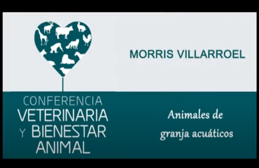 Profesión veterinaria y bienestar de los animales de granja acuáticos - Morris Villarroel