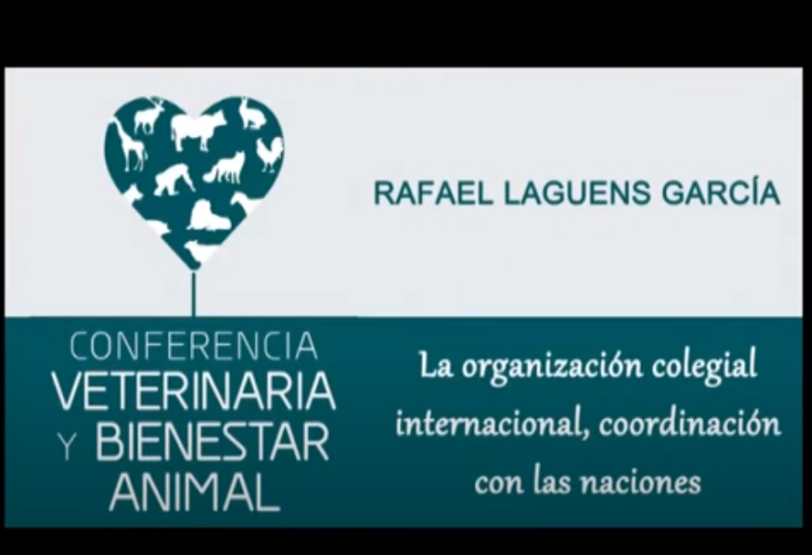 La organización colegial internacional y el bienestar animal - Rafael Laguens