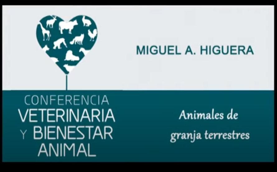Profesión veterinaria y bienestar de los animales de granja terrestres - Miguel A. Higuera