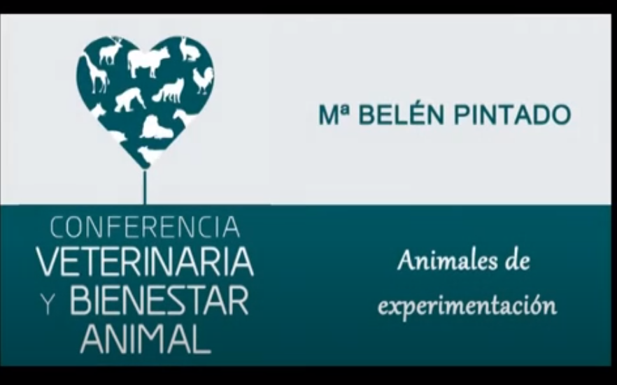 Profesión veterinaria y bienestar de los animales de experimentación - María Belén Pintado