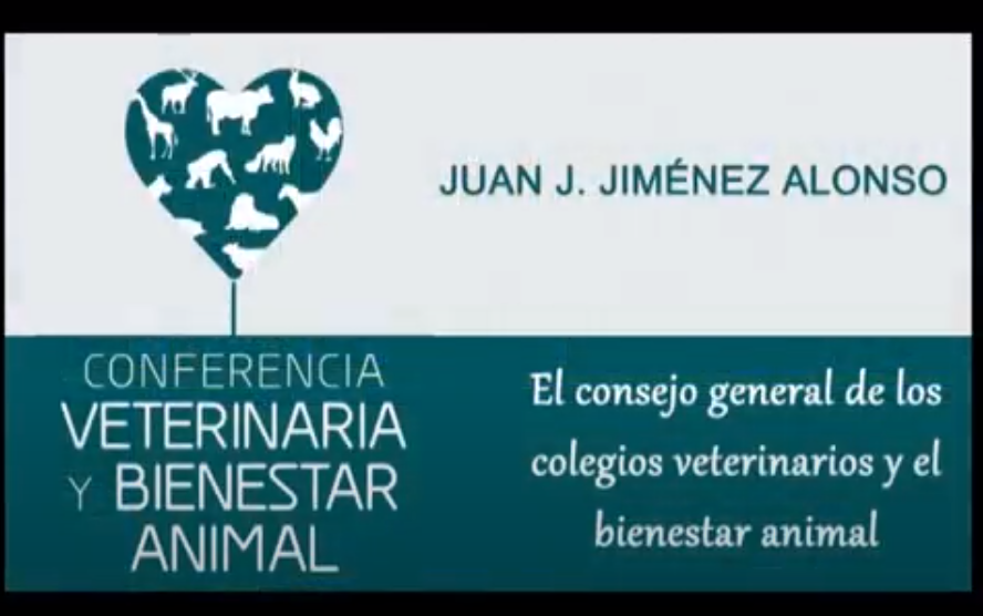 El Consejo General de Colegios Veterinarios y el bienestar animal - Juan José Jiménez