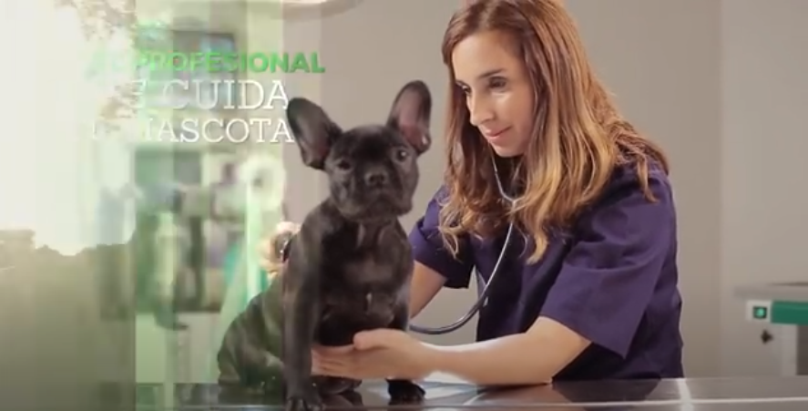 CAMPAÑA DE DIFUSIÓN DE LA PROFESIÓN VETERINARIA EN TELEVISIÓN