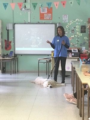 El Colegio de Asturias ha formado este curso a 2.500 escolares en bienestar animal y tenencia responsable de mascotas