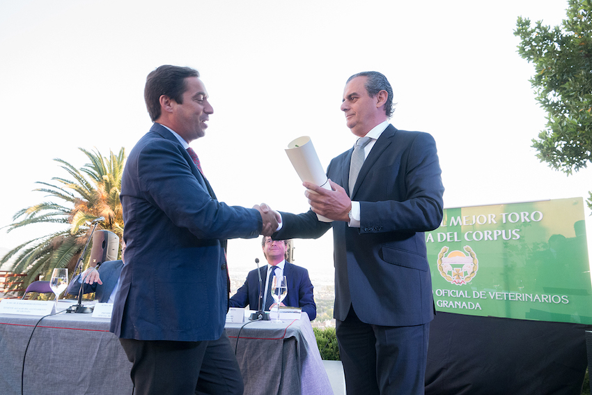 “Rescoldito", de Núñez del Cuvillo, XVII Trofeo al Mejor Toro de la Feria del Corpus 2018