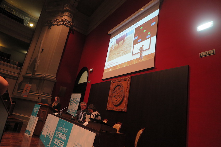 Los casos prácticos suscitaron un amplio debate entre los profesionales veterinarios