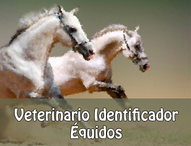 Curso de Identificación de Équidos Básico y de Reciclaje de Identificación de Équidos