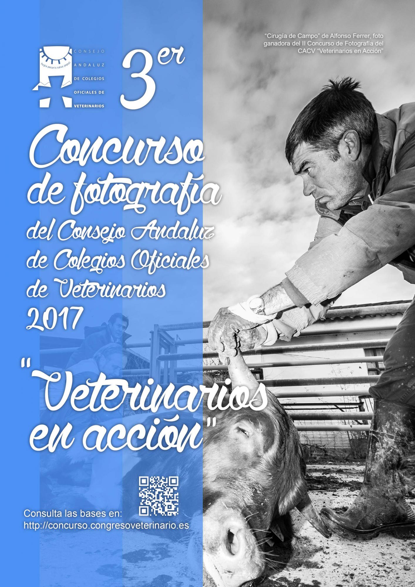 Convocado el III concurso de fotografía "Veterinarios en Acción" 