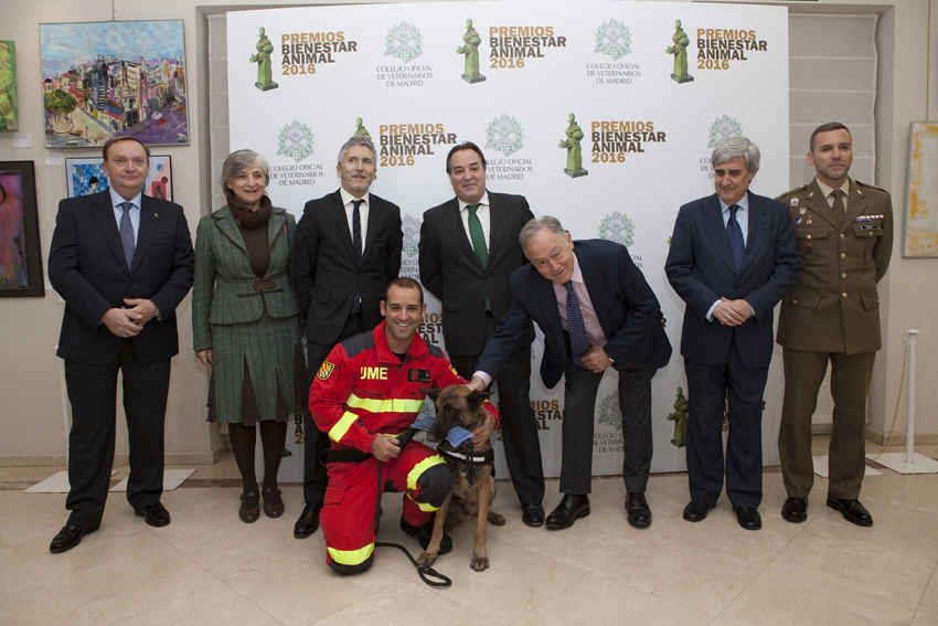Grande-Marlaska, a favor de una ley de protección animal que cubra todo el territorio nacional