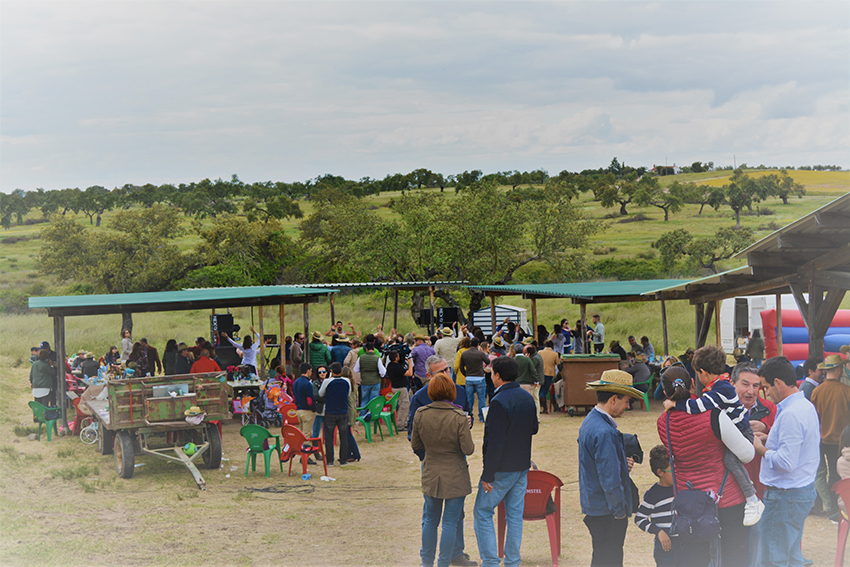 Convivencia Veterinaria del ICOVBA 2018 en la Finca “El Toril”