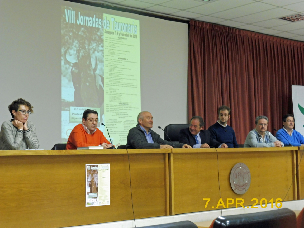 Un centenar de participantes en las VIII Jornadas de Tauronaria 2016