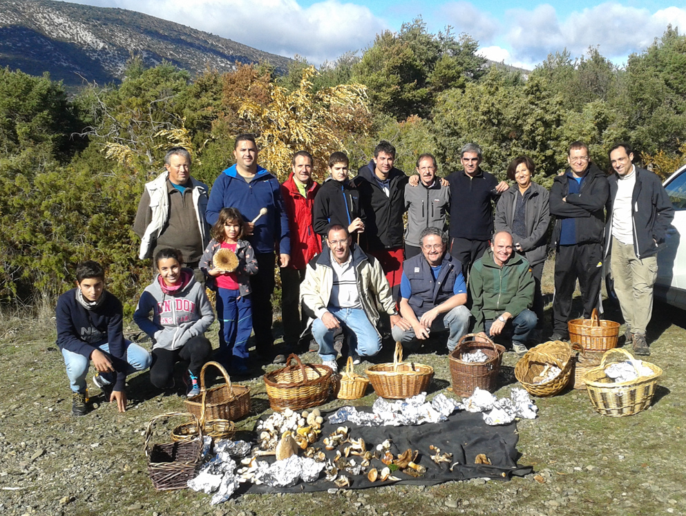 VII Jornadas Micológicas