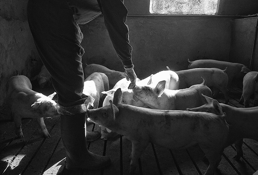 Jorge Ruiz del Olmo, primer premio del VII Concurso Fotográfico