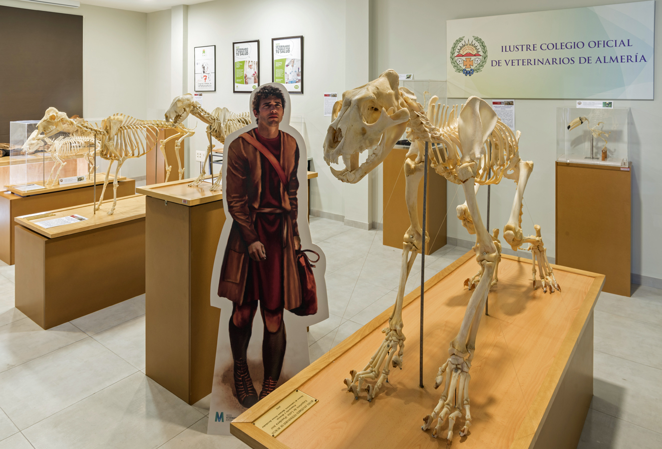 Inaugurado el Museo de Veterinaria y la exposición “El Arte y la Ciencia”