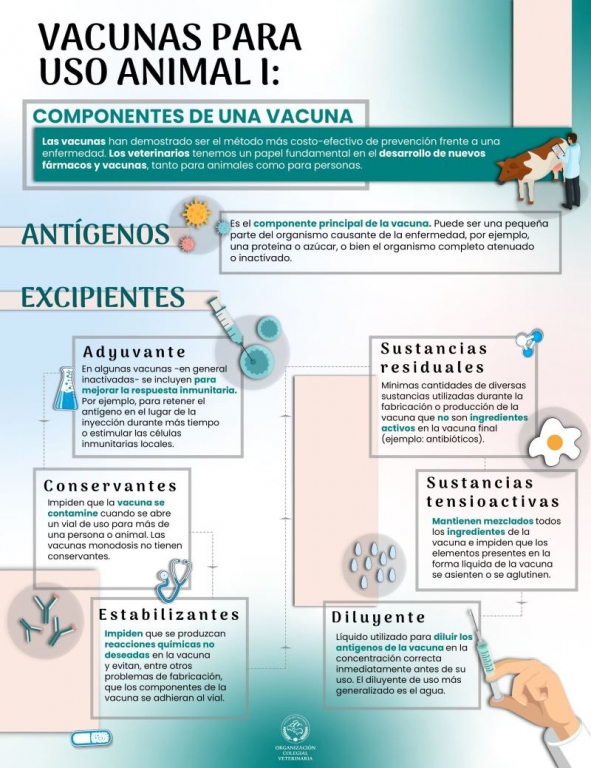 El desarrollo de nuevas vacunas es una de las herramientas más importantes en la lucha frente a la resistencia a los antibióticos