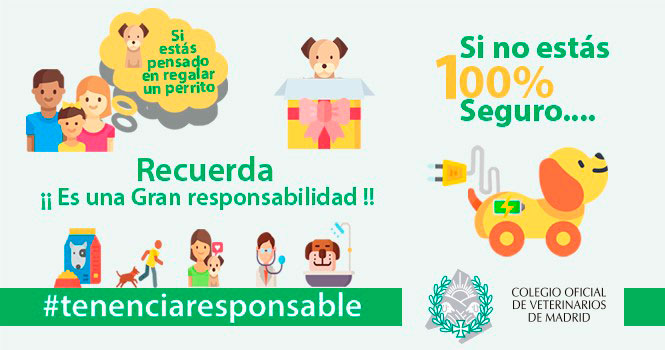 El Colegio de Madrid elabora una infografía sobre tenencia responsable