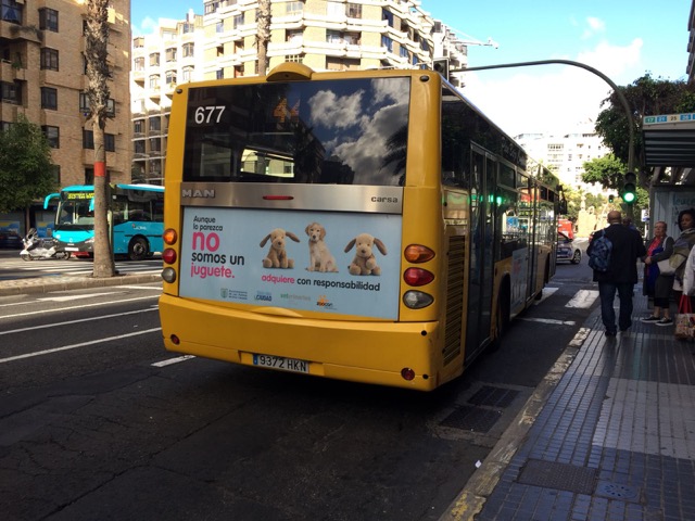 Ayuntamiento de Las Palmas de Gran Canaria y Colegio hacen una campaña para promover la compra responsable de mascotas