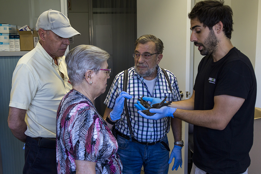 El Colegio de Valencia participa en “AcogeUnPajarito”, un proyecto que aúna terapia asistida y conservación de la naturaleza