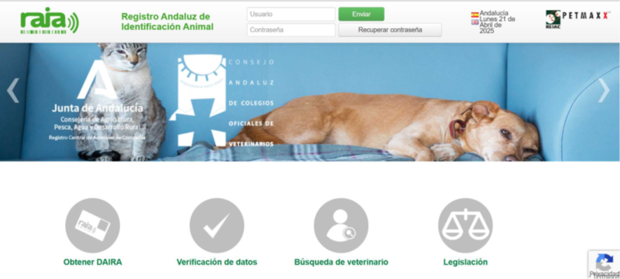 El Colegio de Veterinarios de Almería colabora con los Ayuntamientos en la puesta en marcha de sus proyectos de gestión de las colonias felinas