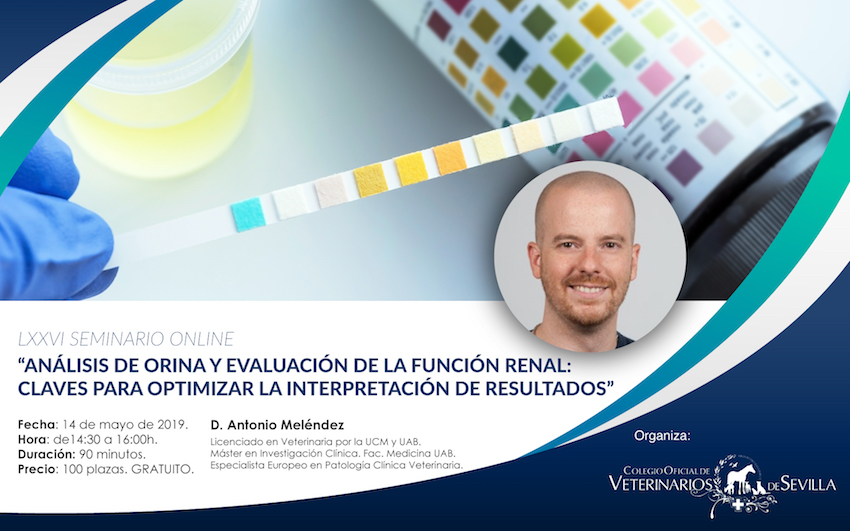 Seminario online “Análisis de orina y evaluación de la función renal: claves para optimizar la interpretación de resultados”