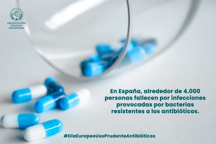 La resistencia a los antibióticos provoca el cuádruple de muertes que los accidentes de tráfico en España