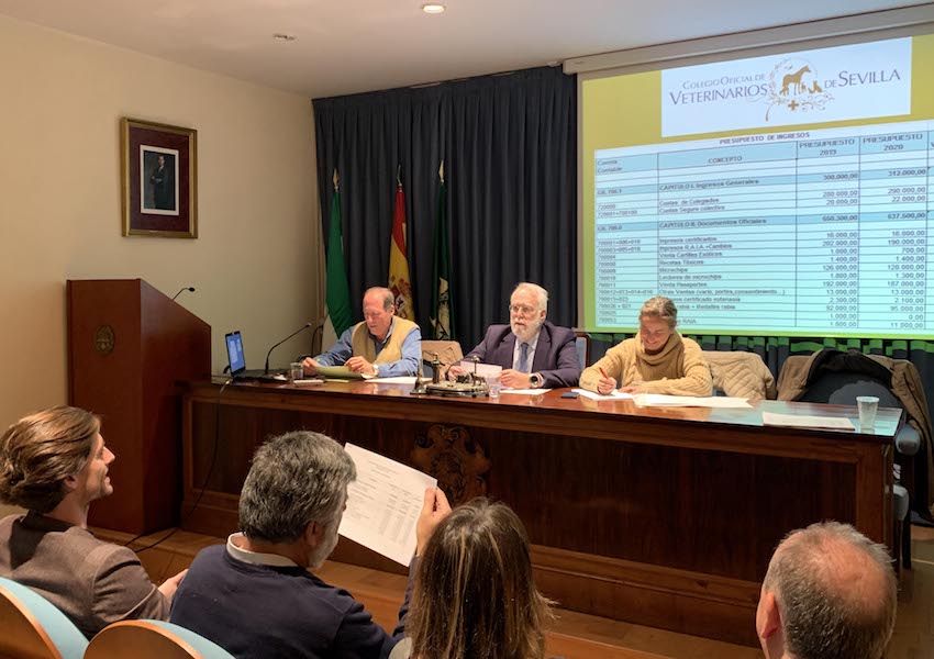 La Asamblea General Ordinaria  aprueba por unanimidad los presupuestos del colegio sevillano para 2020