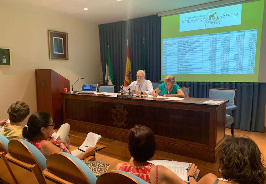 La Asamblea General Ordinaria de Colegiados aprueba las cuentas de 2018
