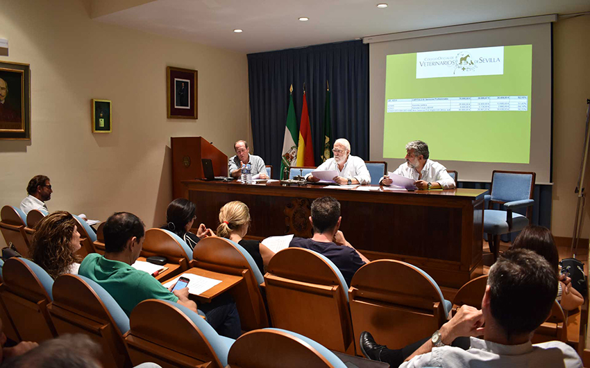 La Asamblea General Ordinaria de los colegiados sevillanos aprueba las cuentas de 2017