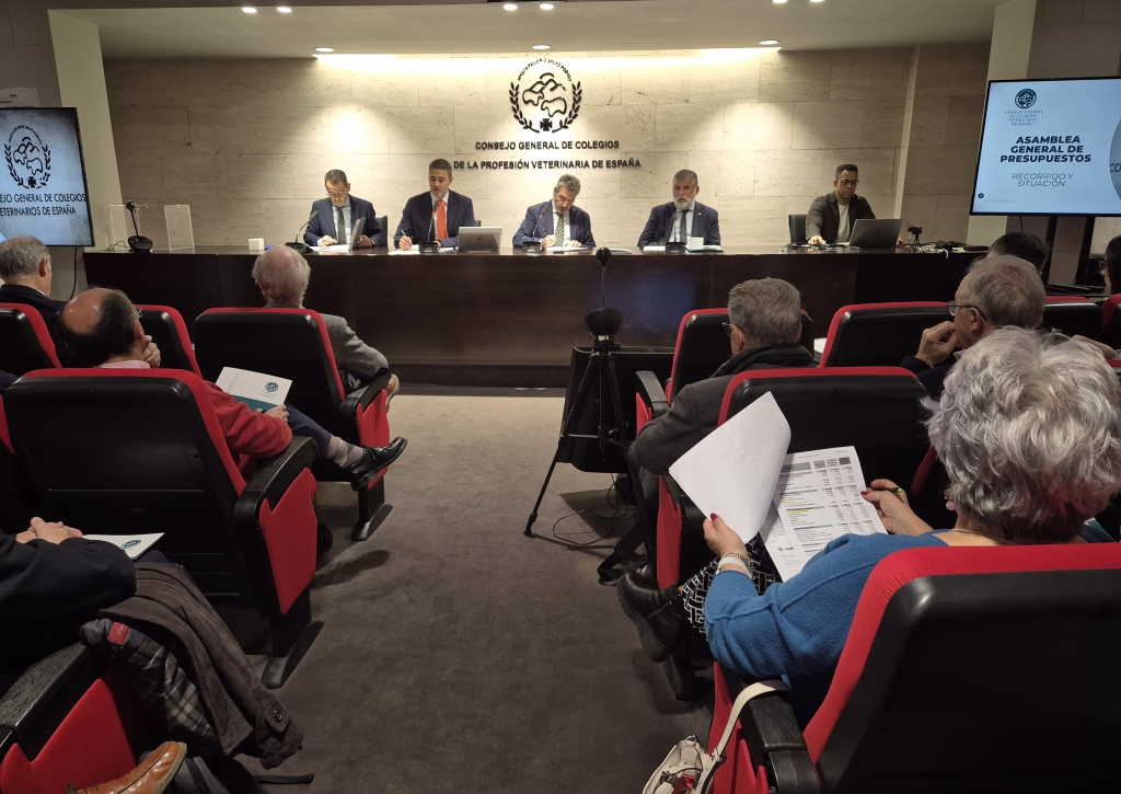 La asamblea general de la OCV aprueba por amplia mayoría el presupuesto que permitirá desarrollar las líneas de actuación de 2026