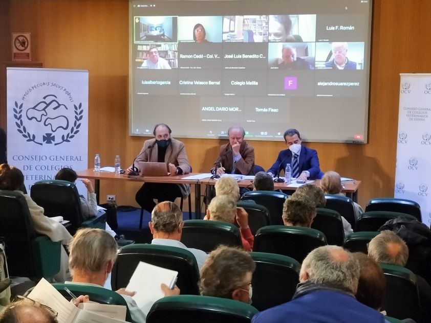 La Asamblea General de la OCV aprueba una modificación parcial de los Estatutos para mejorar el funcionamiento y la relación con los Colegios