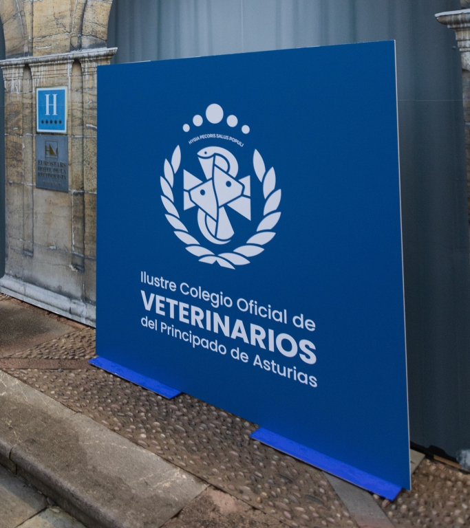 Nacen los &ldquo;One Health Awards Luis Rodr&iacute;guez Ovejero&rdquo;, premios nacionales para reconocer la excelencia cient&iacute;fica en salud humana, animal y ambiental